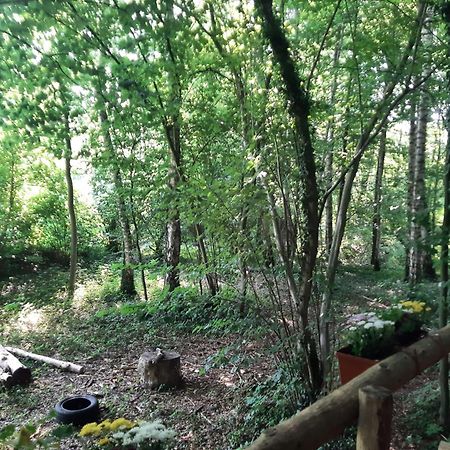 Hotel Baumhausnaechte Ladbergen Zewnętrze zdjęcie