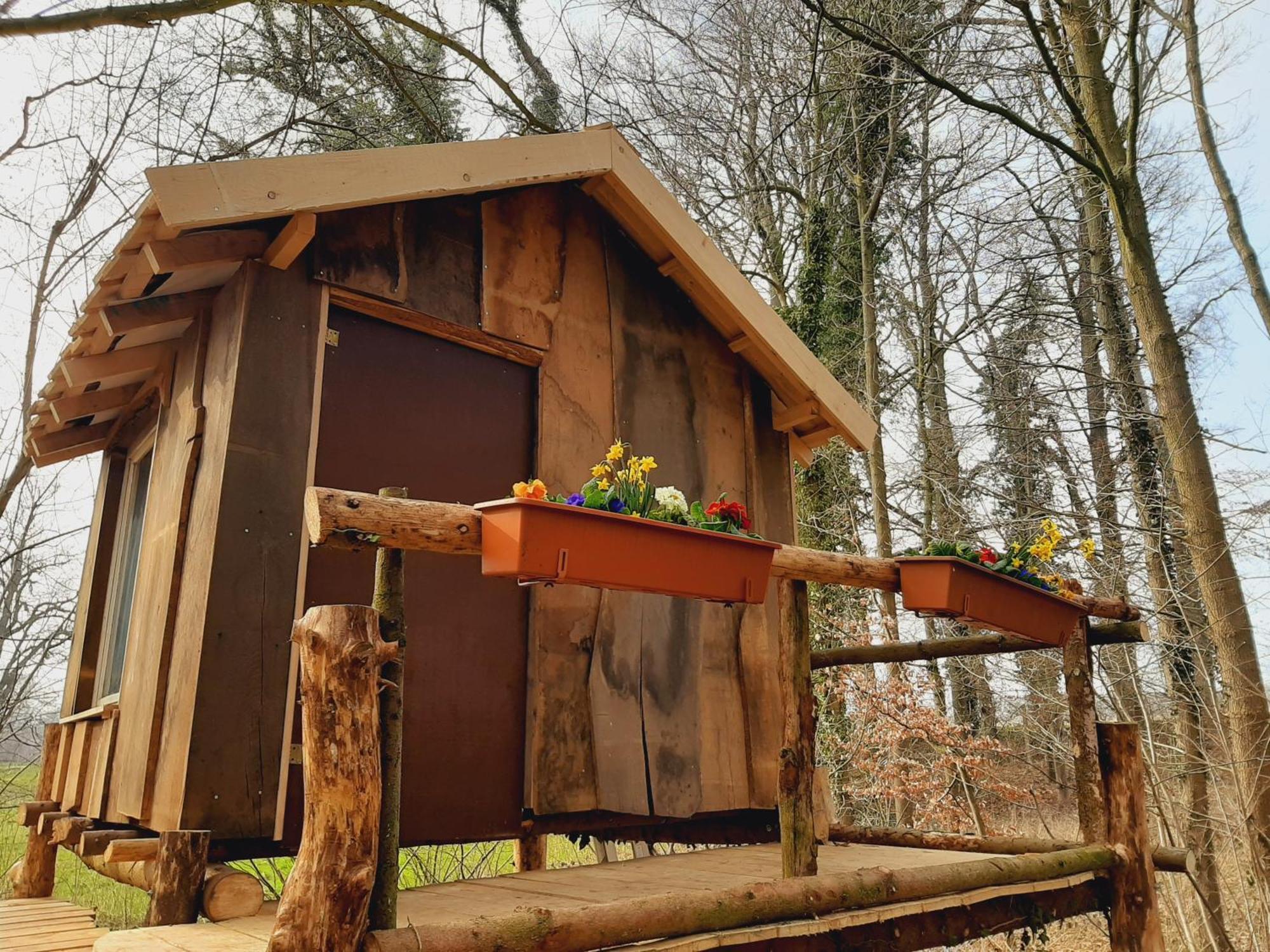 Hotel Baumhausnaechte Ladbergen Zewnętrze zdjęcie