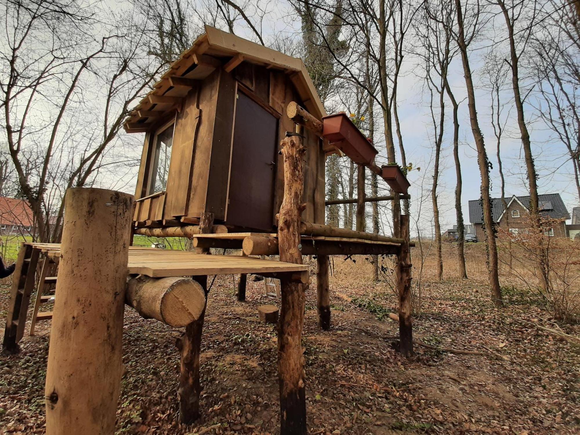 Hotel Baumhausnaechte Ladbergen Zewnętrze zdjęcie