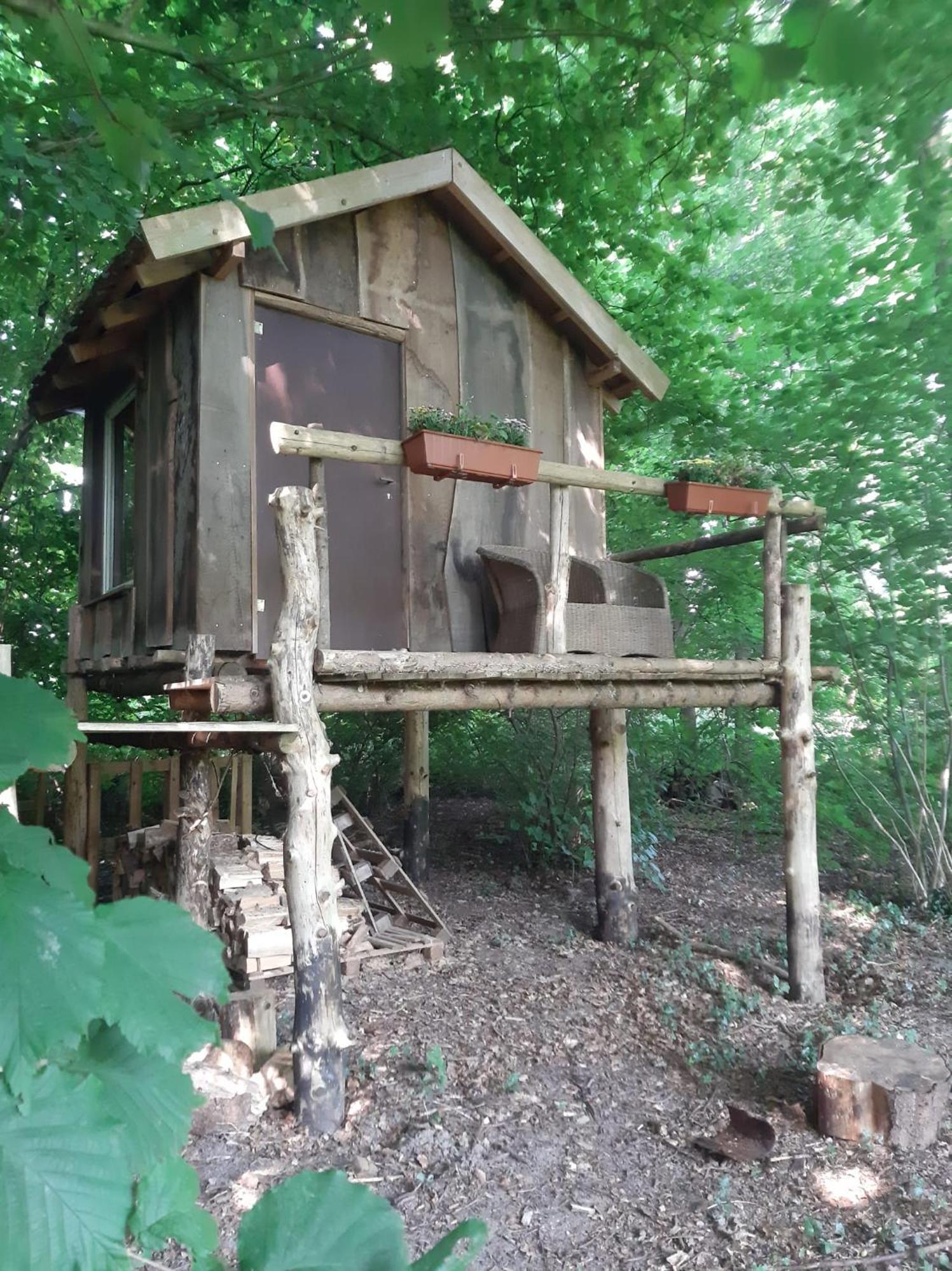 Hotel Baumhausnaechte Ladbergen Zewnętrze zdjęcie